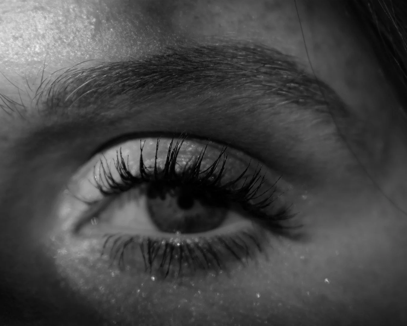 Definierte Augenbrauen und Wimpern im Blesk Hairstudio